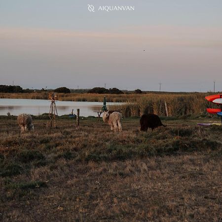Coorong Island Retreat - Farm Stay At Pet Friendly Property Meningie Екстериор снимка