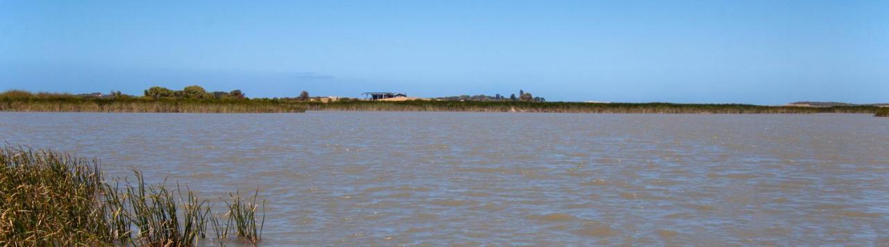 Coorong Island Retreat - Farm Stay At Pet Friendly Property Meningie Екстериор снимка