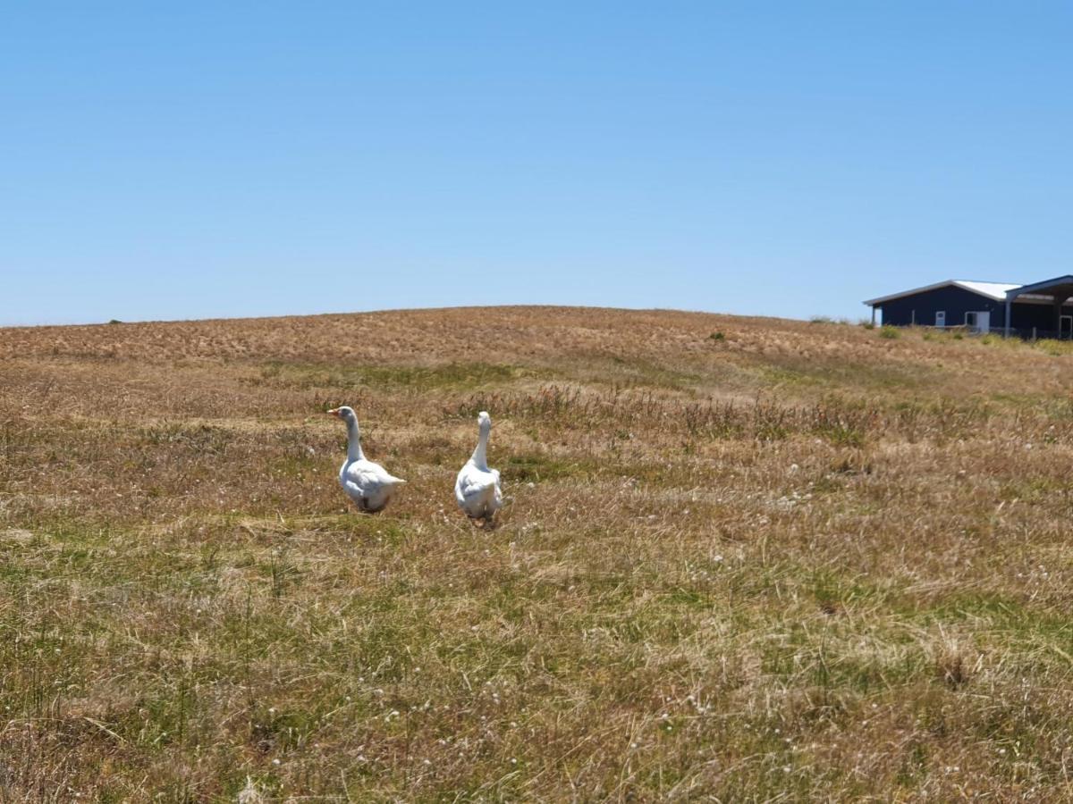 Coorong Island Retreat - Farm Stay At Pet Friendly Property Meningie Екстериор снимка