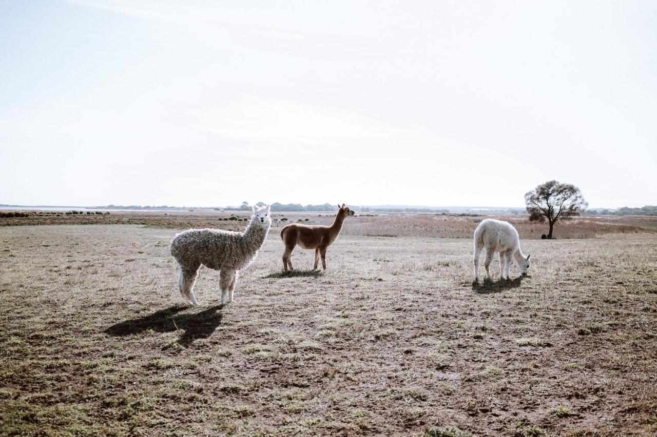 Coorong Island Retreat - Farm Stay At Pet Friendly Property Meningie Екстериор снимка