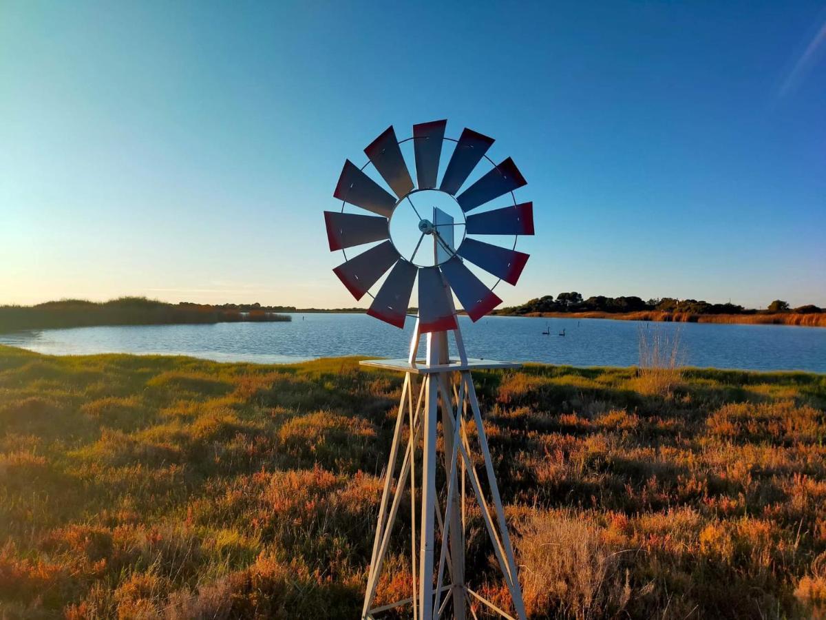 Coorong Island Retreat - Farm Stay At Pet Friendly Property Meningie Екстериор снимка