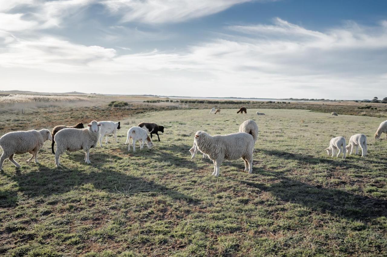 Coorong Island Retreat - Farm Stay At Pet Friendly Property Meningie Екстериор снимка