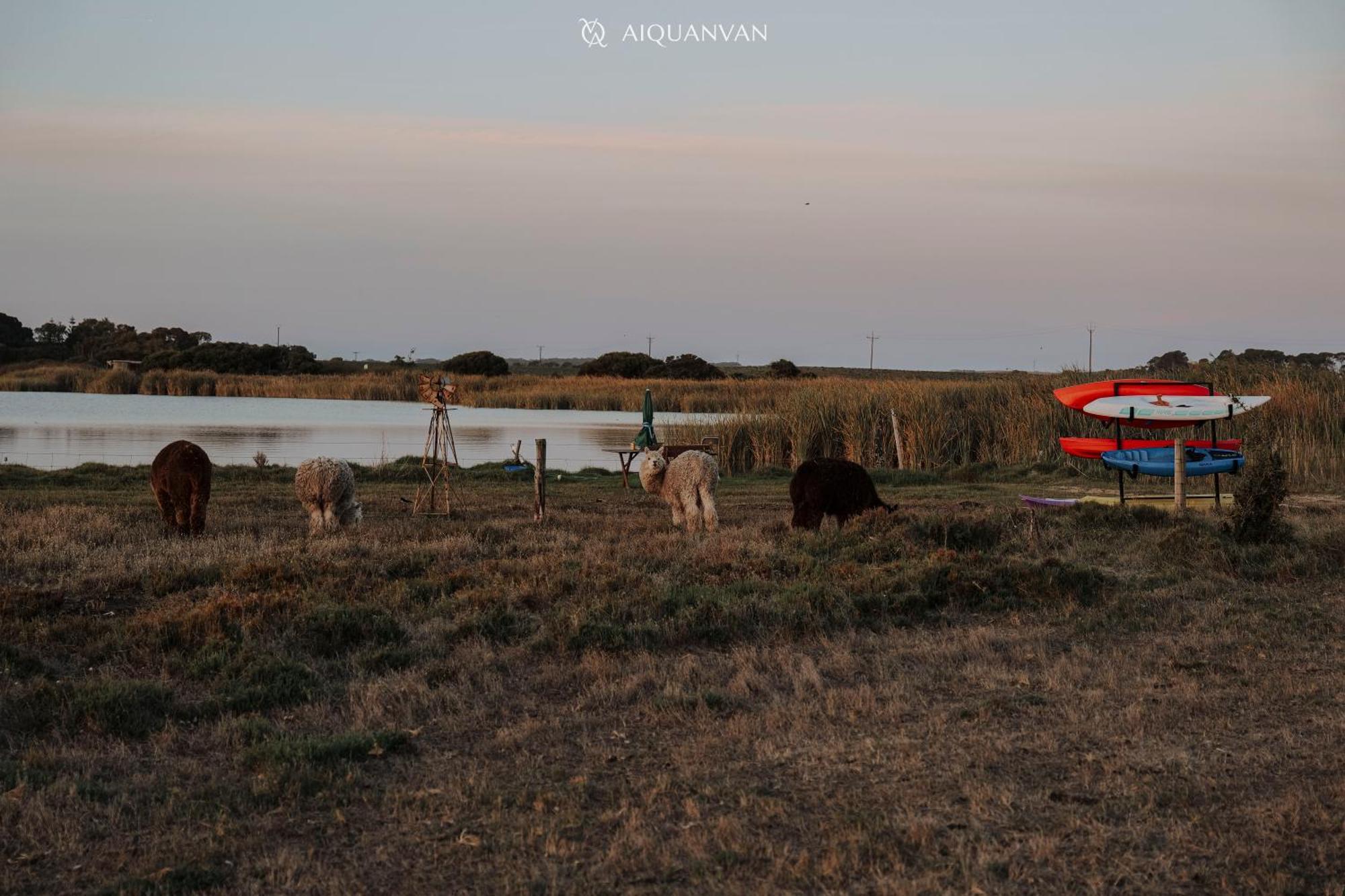 Coorong Island Retreat - Farm Stay At Pet Friendly Property Meningie Екстериор снимка